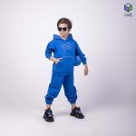 هودی پلن